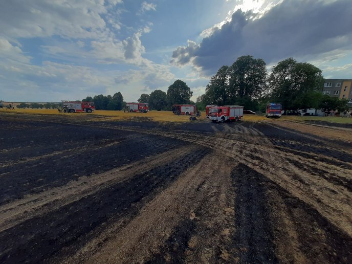 Spłonęło ponad 10 hektarów ścierniska w Batowie.
